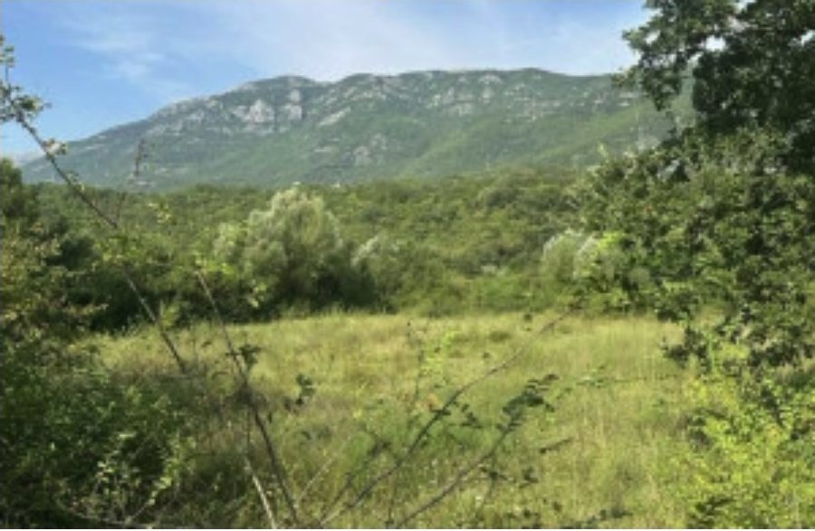 Erschlossenes Baugrundstück 1.100 m² – Kovači, Lastva Grbaljska